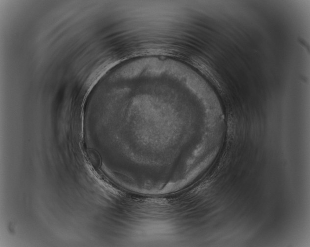 X0000100500844200807031939