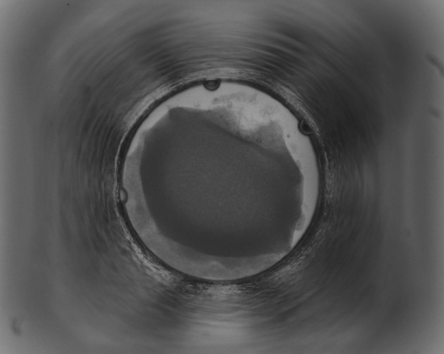 X0000100500845200807031939