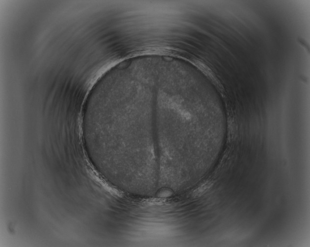 X0000100500846200807031939