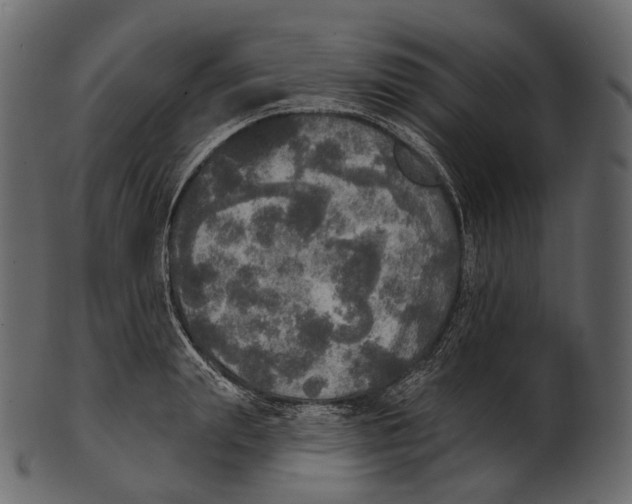 X0000100500847200807031939