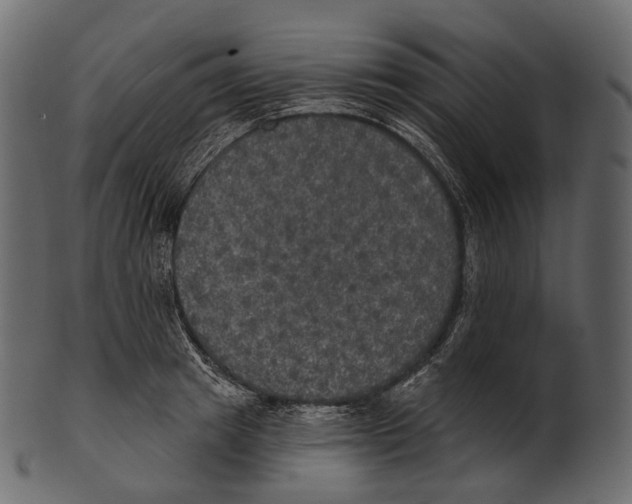 X0000100500849200807031939