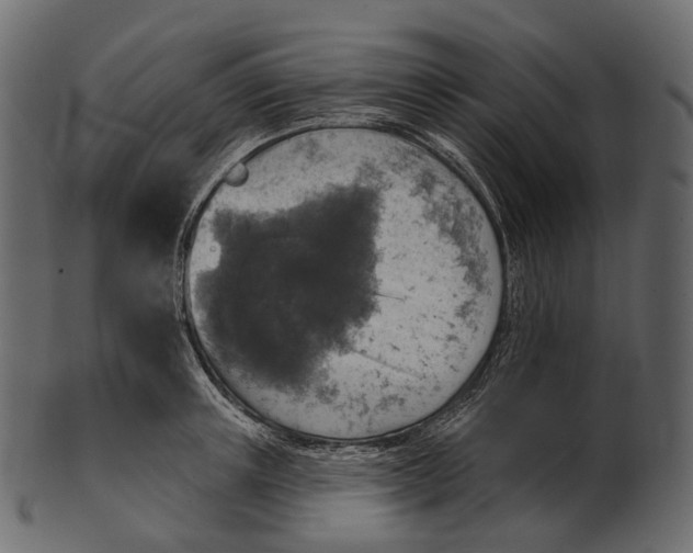 X0000100500851200807031939