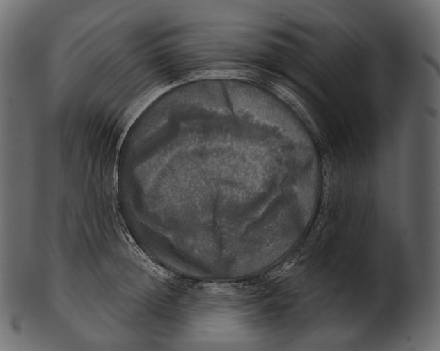 X0000100500852200807031939