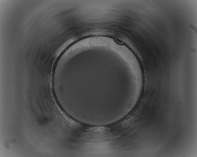 X0000100500853200807031939