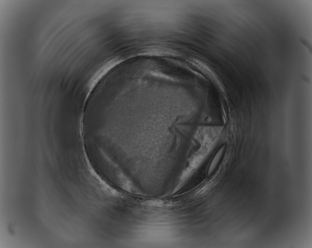 X0000100500855200807031939