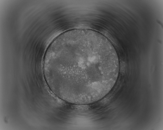 X0000100500856200807031939