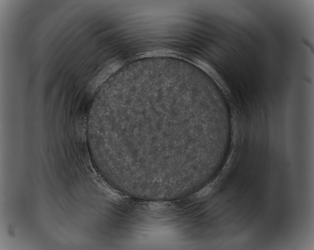 X0000100500857200807031939