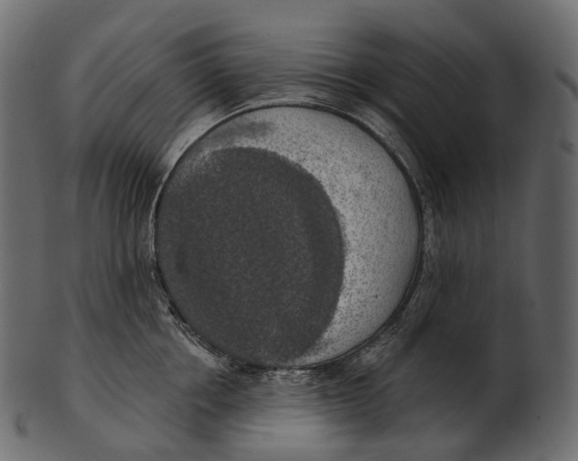 X0000100500858200807031939