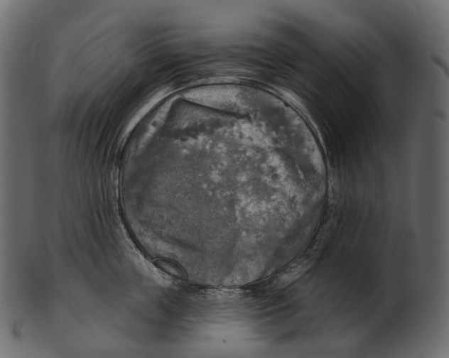 X0000100500859200807031939