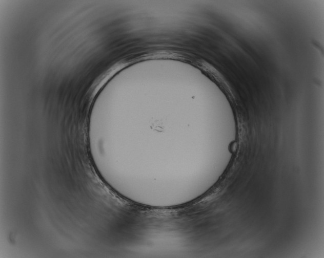 X0000100500860200807031939