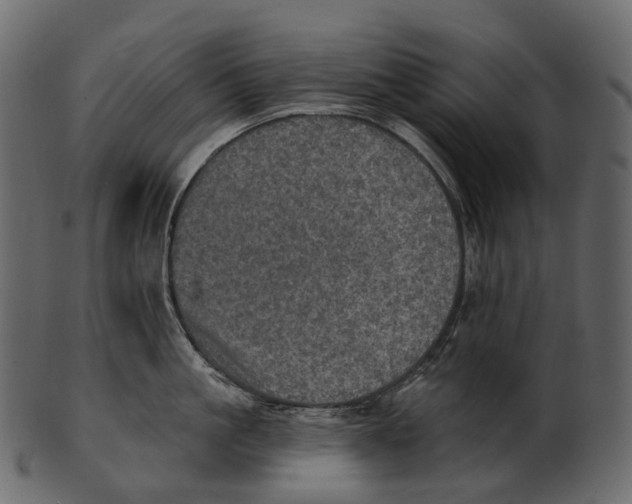 X0000100500861200807031939