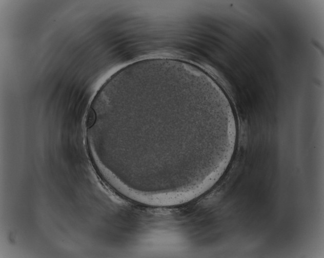 X0000100500862200807031939