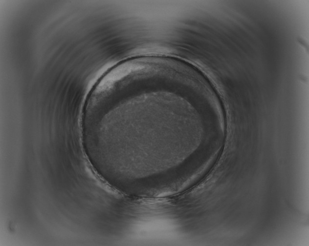 X0000100500864200807031939