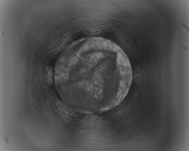 X0000100500866200807031938