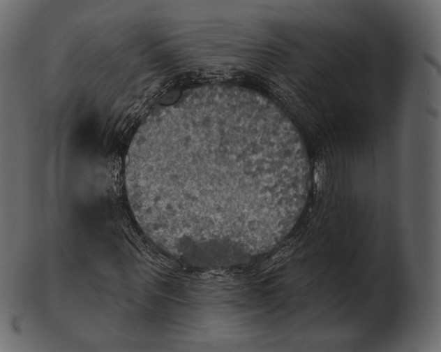 X0000100500867200807031938