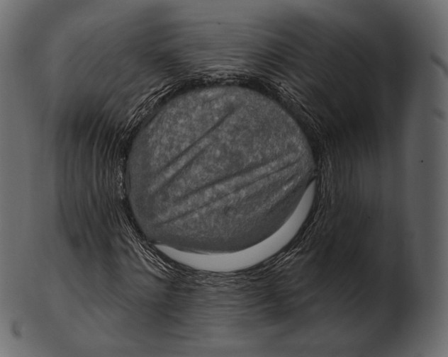 X0000100500868200807031938