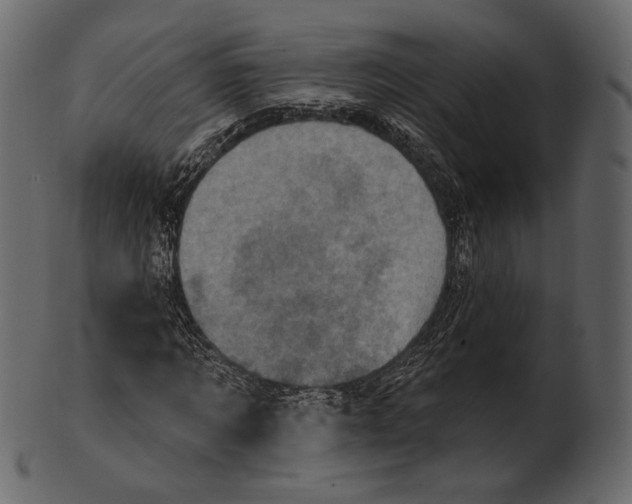 X0000100500869200807031938