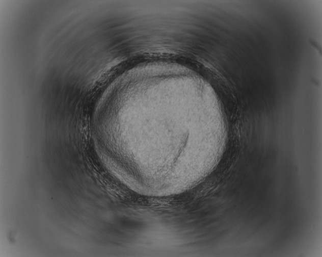 X0000100500870200807031938