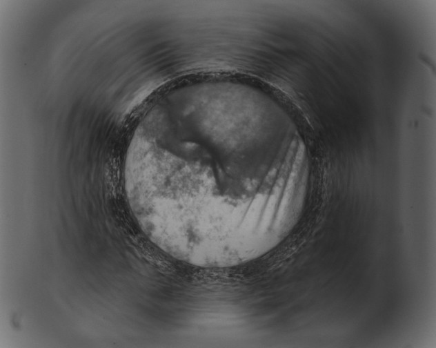 X0000100500871200807031938