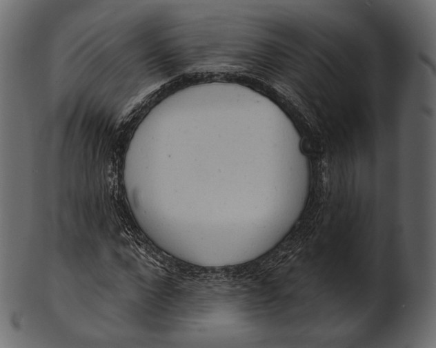 X0000100500872200807031938