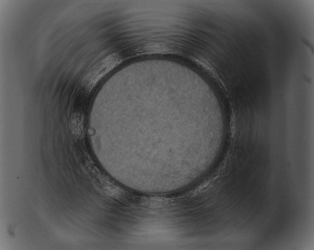 X0000100500873200807031938