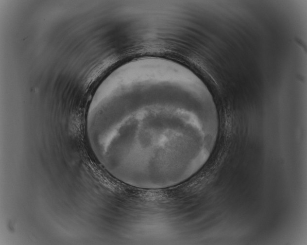 X0000100500874200807031938