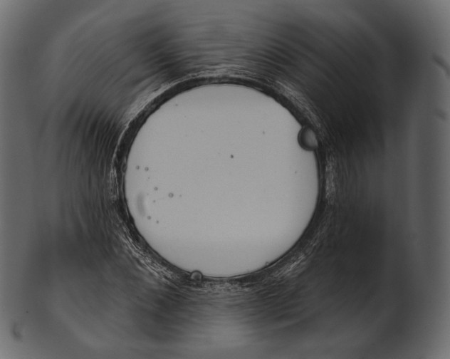 X0000100500876200807031938