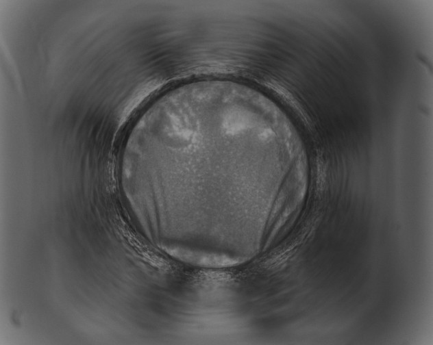 X0000100500878200807031938