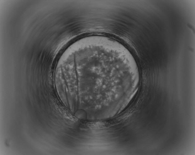 X0000100500879200807031938