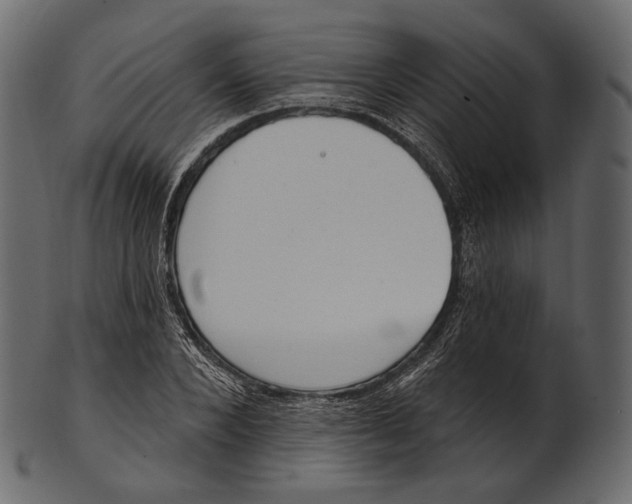 X0000100500880200807031938