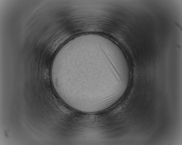 X0000100500881200807031938