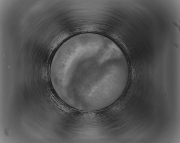 X0000100500882200807031938