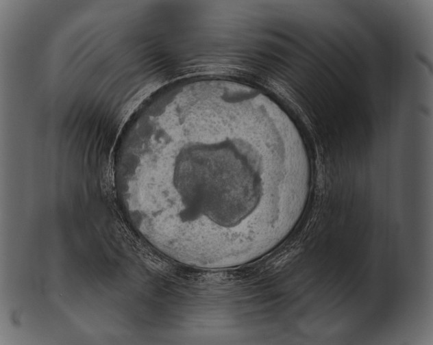 X0000100500883200807031938