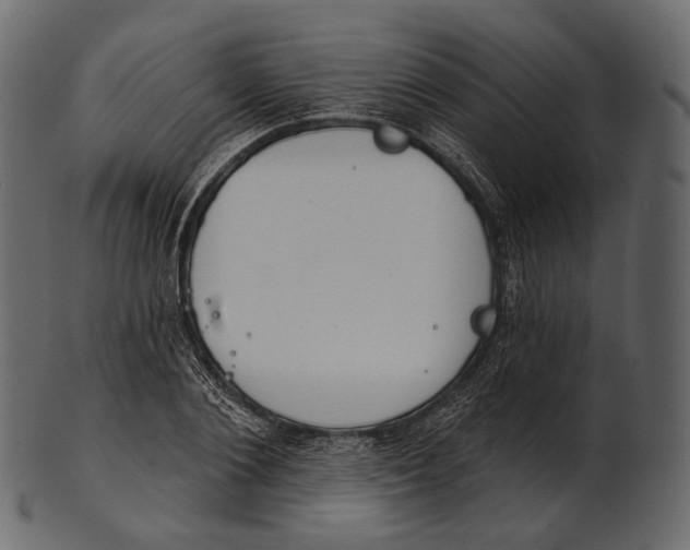 X0000100500884200807031938