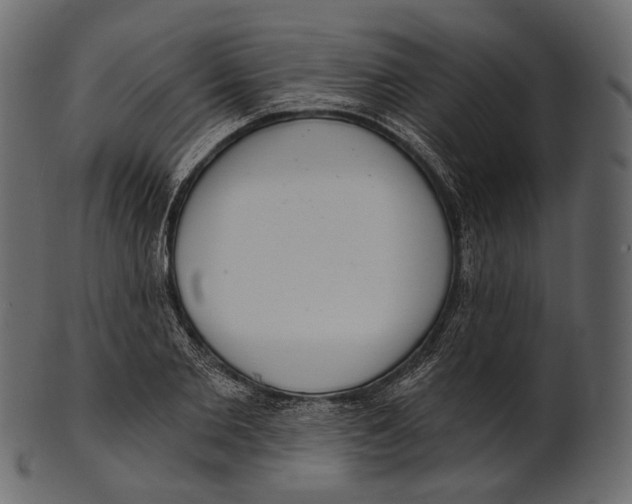 X0000100500885200807031938