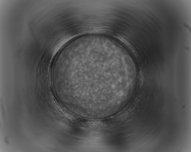 X0000100500886200807031938