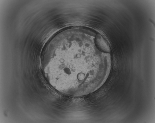 X0000100500887200807031938