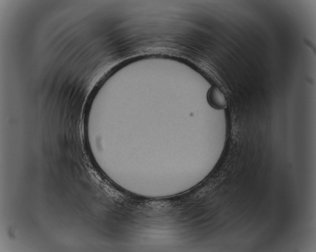 X0000100500888200807031938