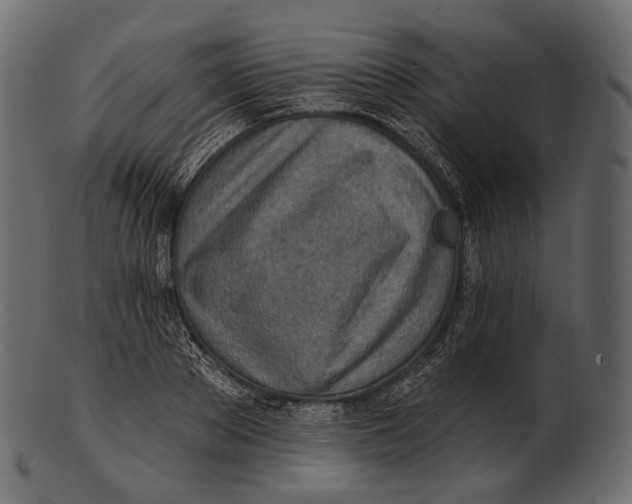 X0000100500889200807031938