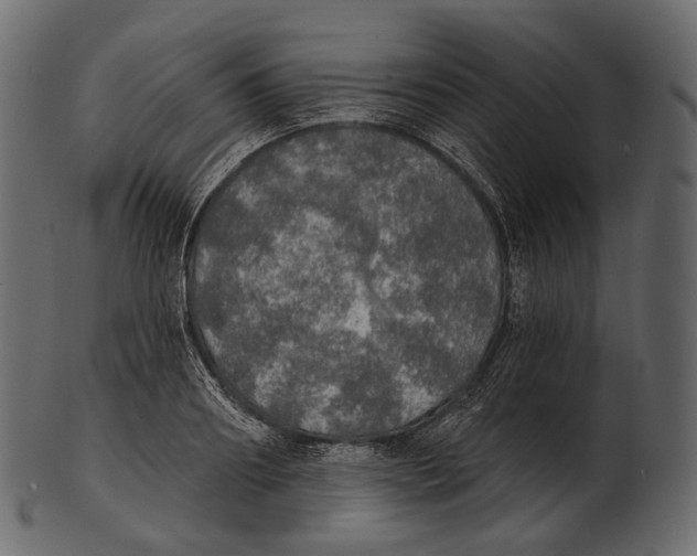 X0000100500890200807031938