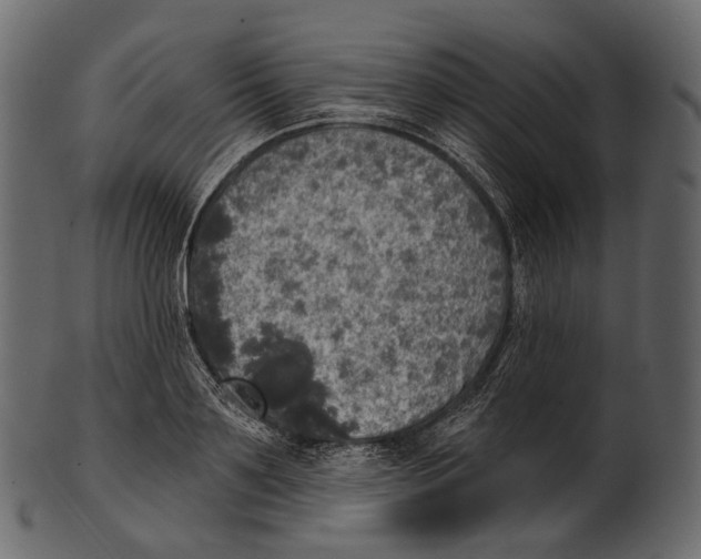 X0000100500891200807031938