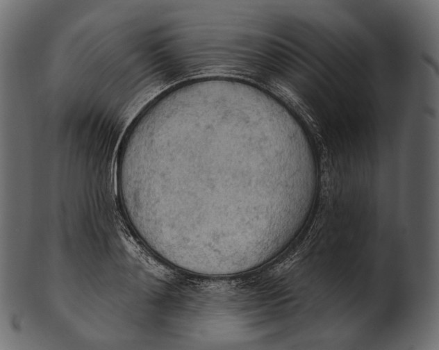 X0000100500892200807031938