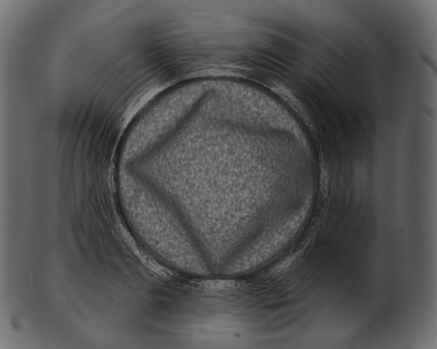 X0000100500893200807031938