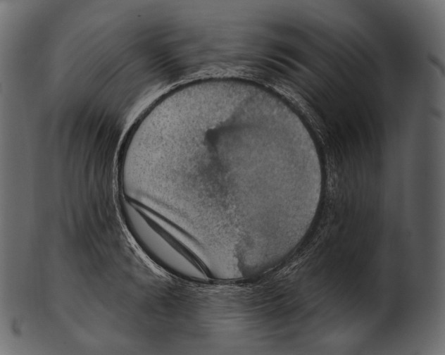 X0000100500894200807031938