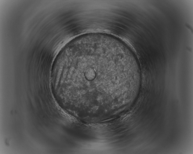 X0000100500895200807031938