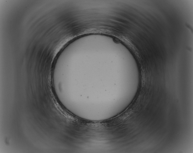 X0000100500896200807031938