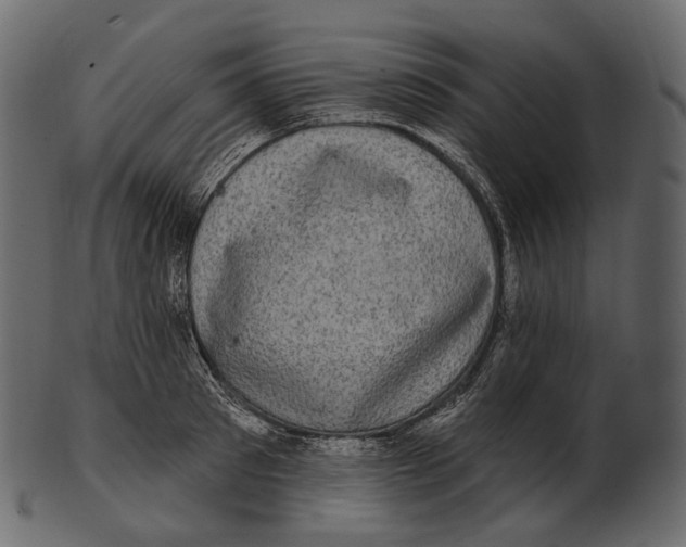 X0000100500897200807031938