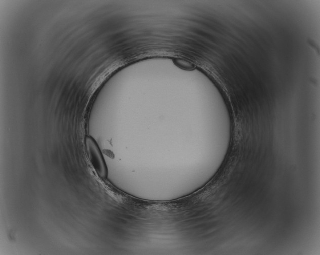 X0000100500898200807031938