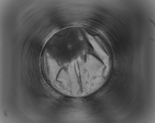 X0000100500899200807031938