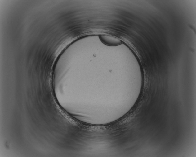 X0000100500901200807031938